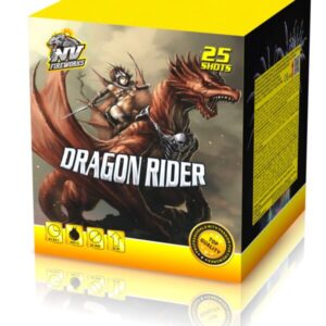 DRAGON RIDER